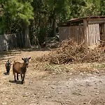 Arneiro 1 빌라 Maçeira