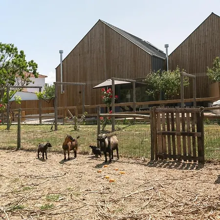 Arneiro 1 빌라 Maçeira